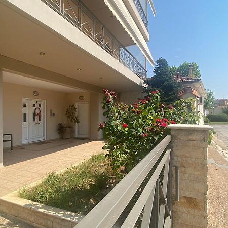 Cozy & Quiet City Apartment Трикала Экстерьер фото