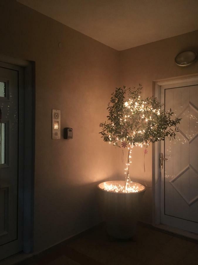 Cozy & Quiet City Apartment Трикала Экстерьер фото