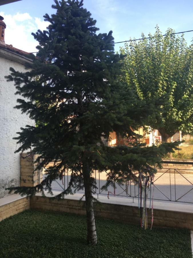 Cozy & Quiet City Apartment Трикала Экстерьер фото