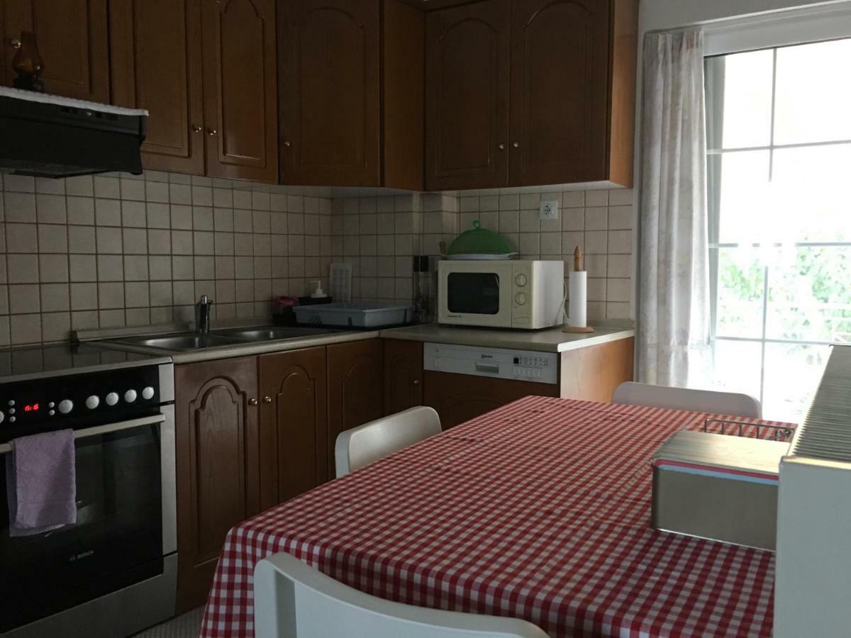 Cozy & Quiet City Apartment Трикала Экстерьер фото